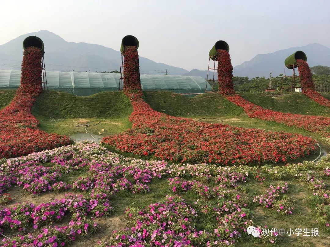 【周末去哪儿】去花卉小镇,看灿烂花海吧!