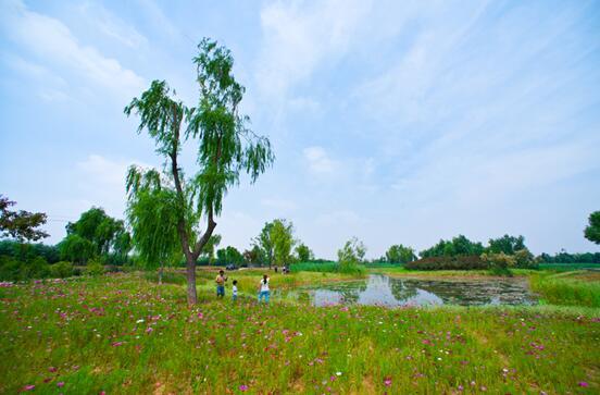 蓝石大溪地湿地公园图片