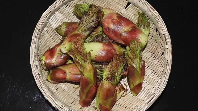 春风十里不如野菜二斤