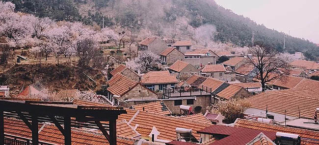 青岛市崂山区美丽乡村—东麦窑村(感受仙居崂山的东方意境)