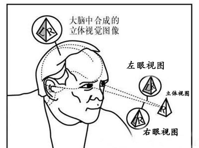 如何自测立体视觉图片