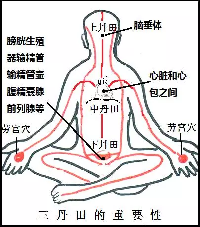 很多人对丹田一知半解这是史上最全的丹田知识