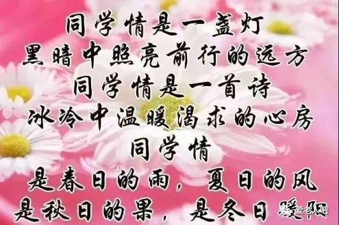 情谊永恒图片带字图片