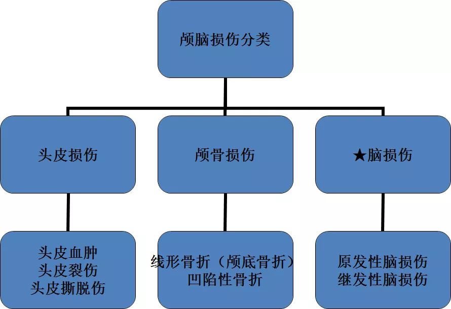 颅脑损伤的护理,讲的很详细!