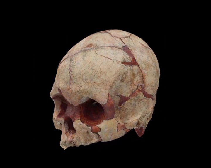 隆安新发现:16万年前人类头骨化石及逾万件石制品