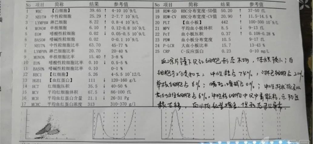 白细胞显著增高,crp正常,首先考虑什么?