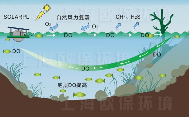 循环|推流式太阳能曝气机