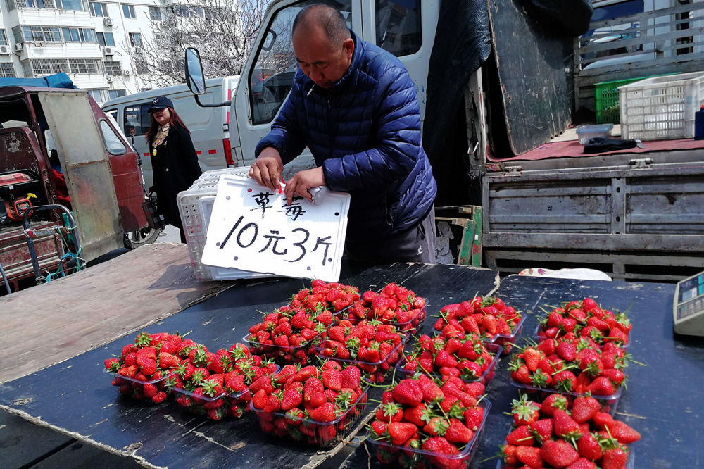 张二嫂回娘家10下集图片