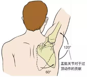 对于人的整体气质影响特别大,在锻炼时