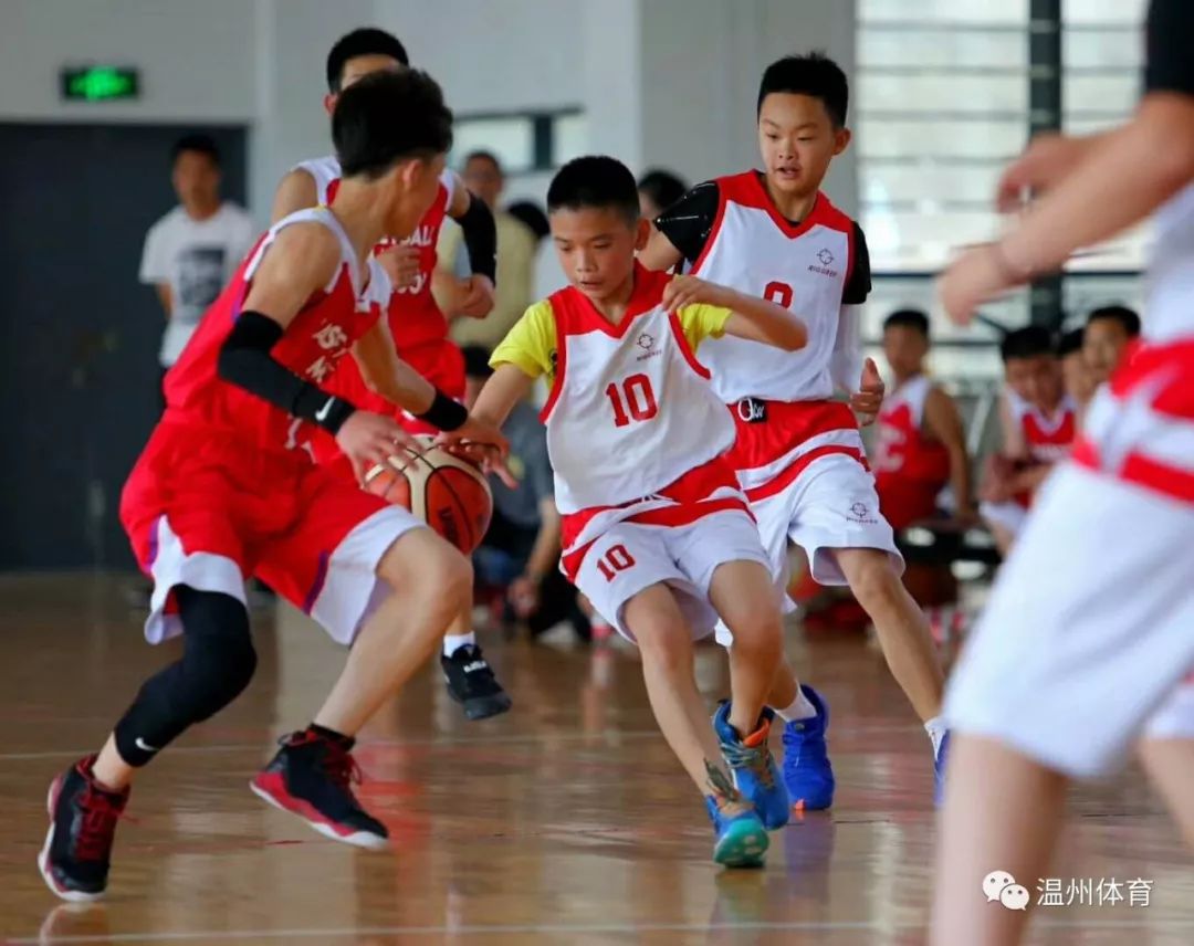 灌篮小高手!永嘉县小学生篮球比赛落幕