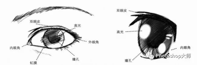 詳細易懂超實用的人物眼睛繪畫實例分享