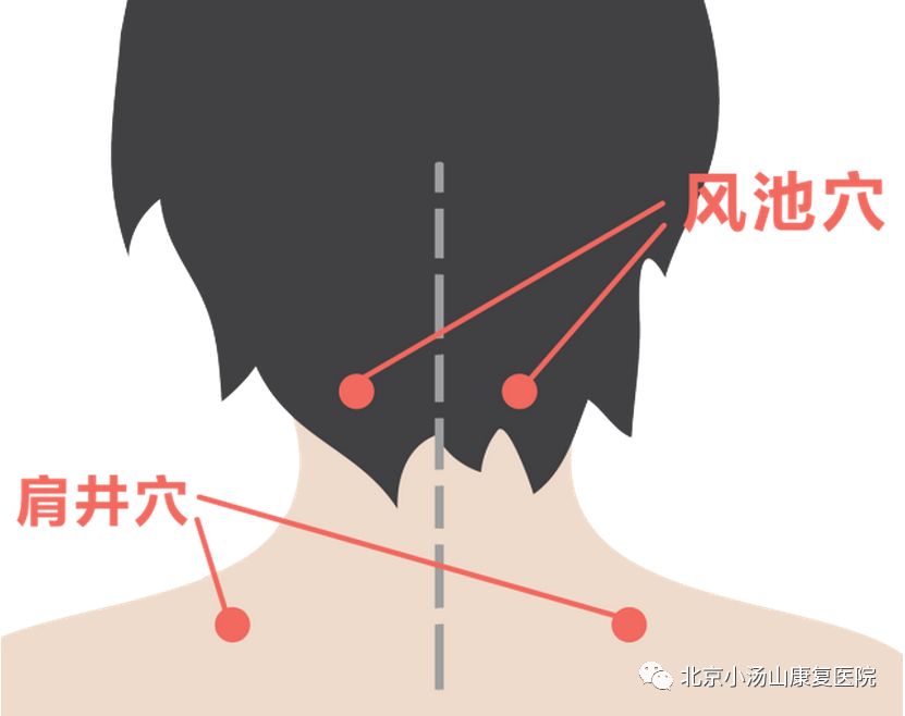 肩頸腰背運動:身體僵硬?3個動作幫你緩解疼痛