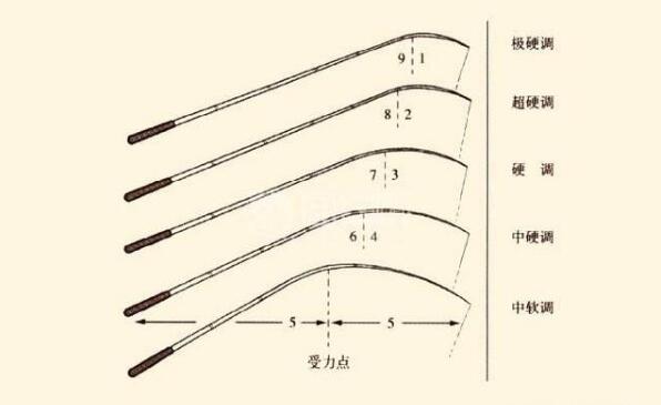 钓鱼之鱼竿调性详解如何选择鉴别鱼竿调性不懂调性怎么多钓鱼