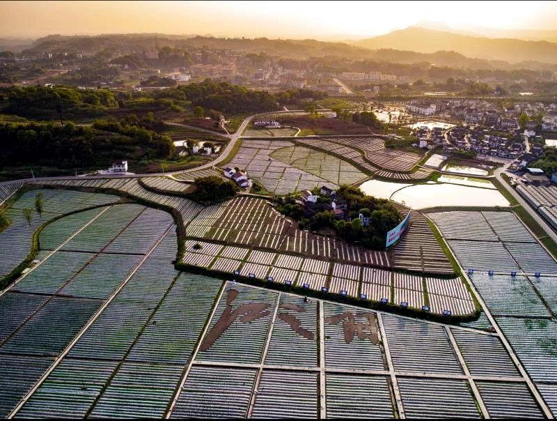 泸州董允坝图片