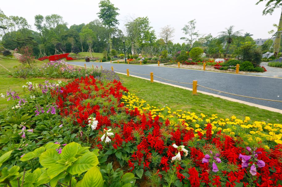 东莞植物园风景图片