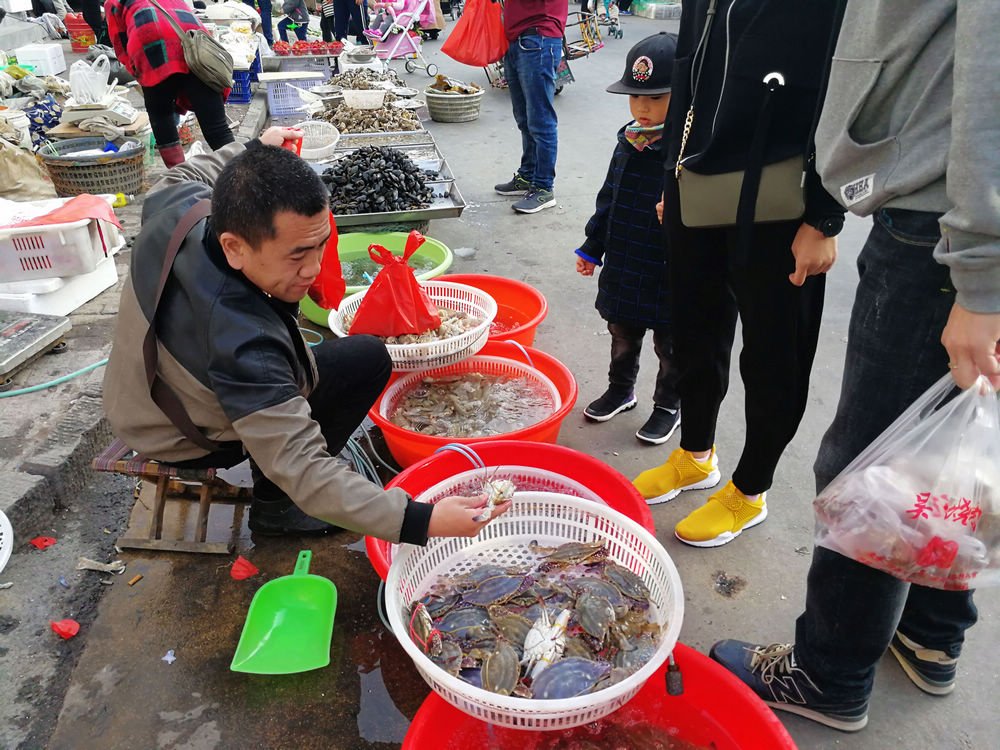 蟹后同梭子蟹亮相菜市场 带来20