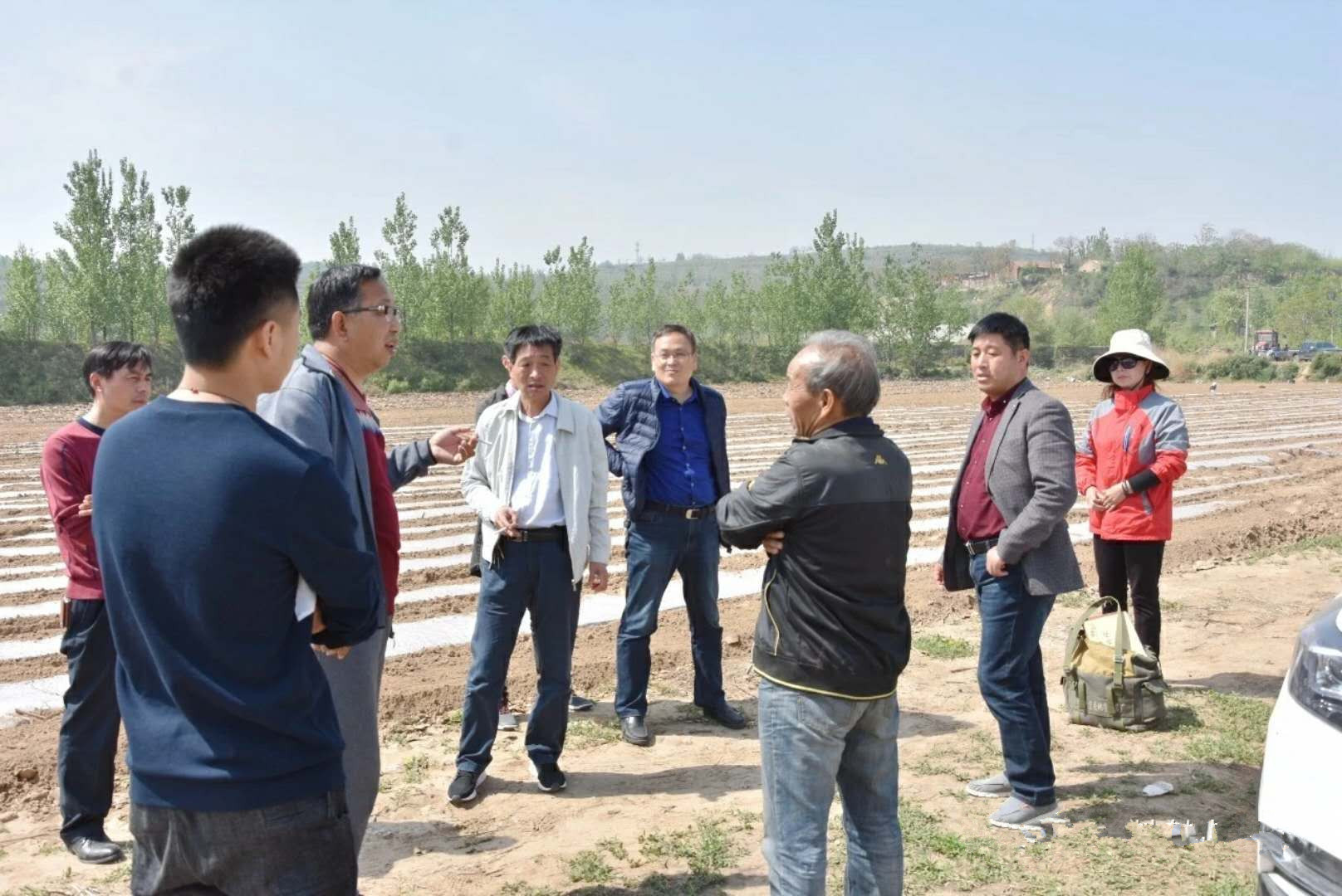 河南灵宝市阳平镇名人图片