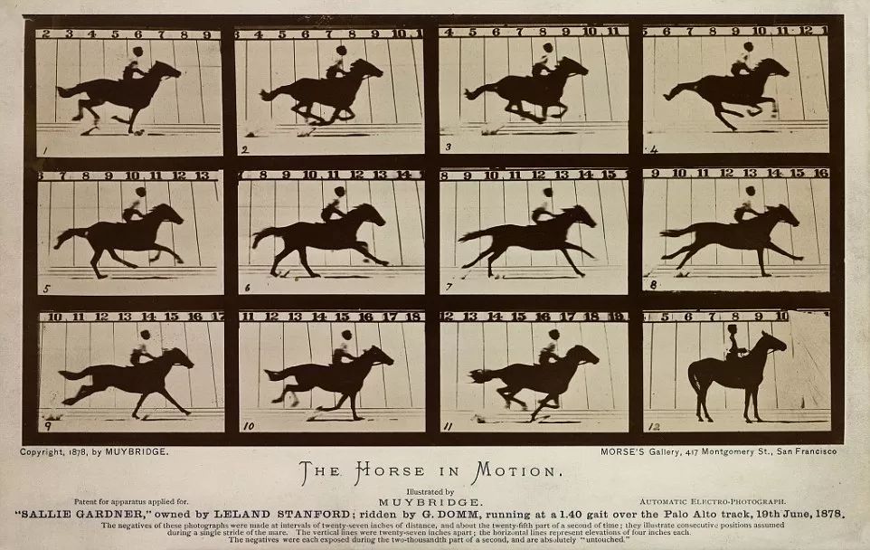 迈布里奇(eadweard muybridge)摄影作品《运动中的马(来源:daily