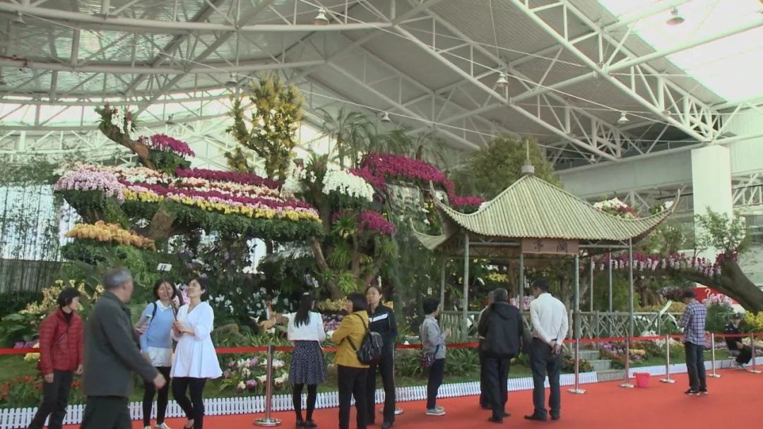3月23日,第28届中国兰花博览会在翁源盛大开幕,这是我国规模最大,影响