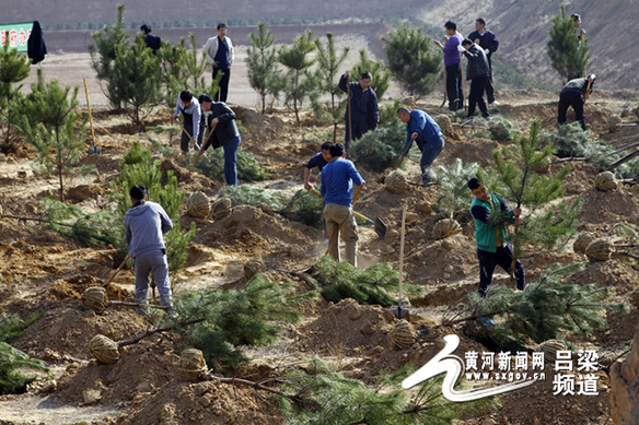 4月16日,离石区森林公园春季义务植树现场人头攒动,该区参加春季义务