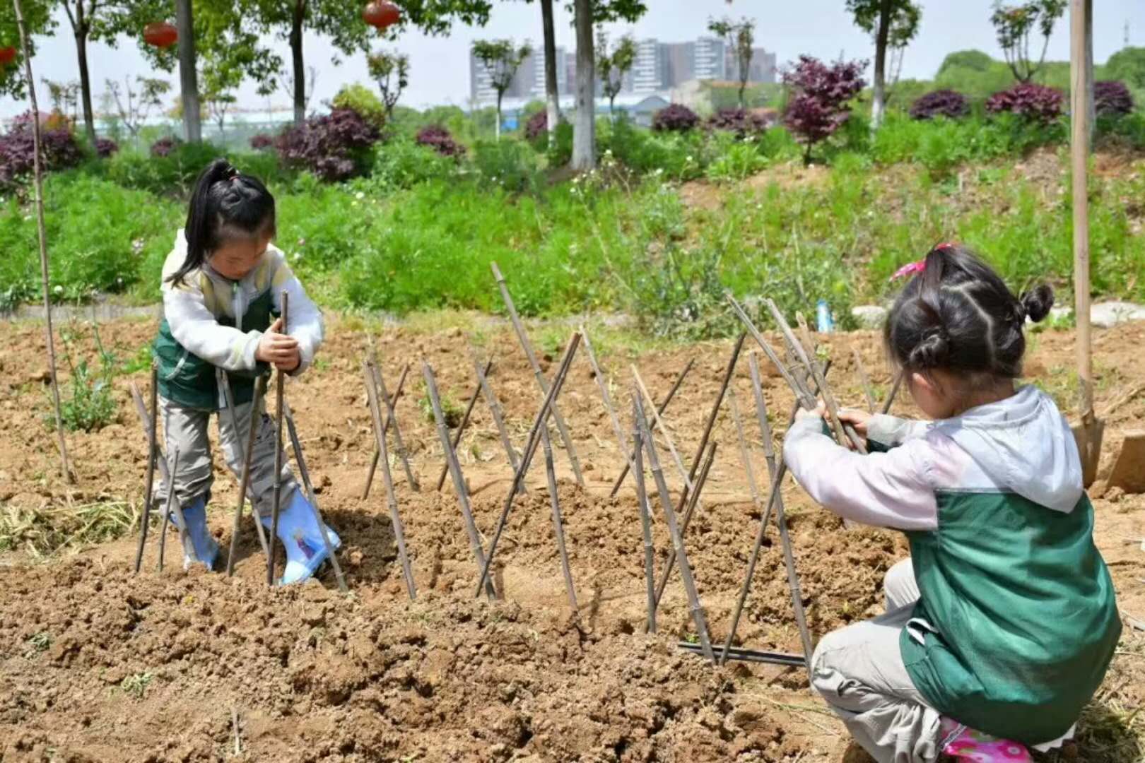 溪谷森林幼兒園在武漢耕讀莊園搞了一堂超棒的自然課