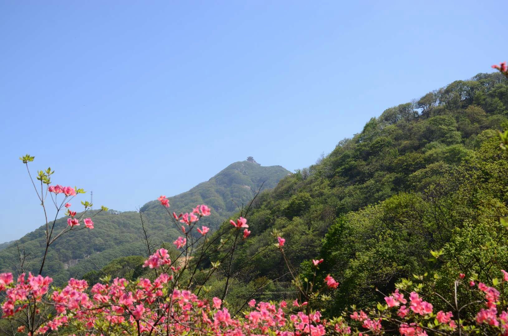 上饶桐柏山图片