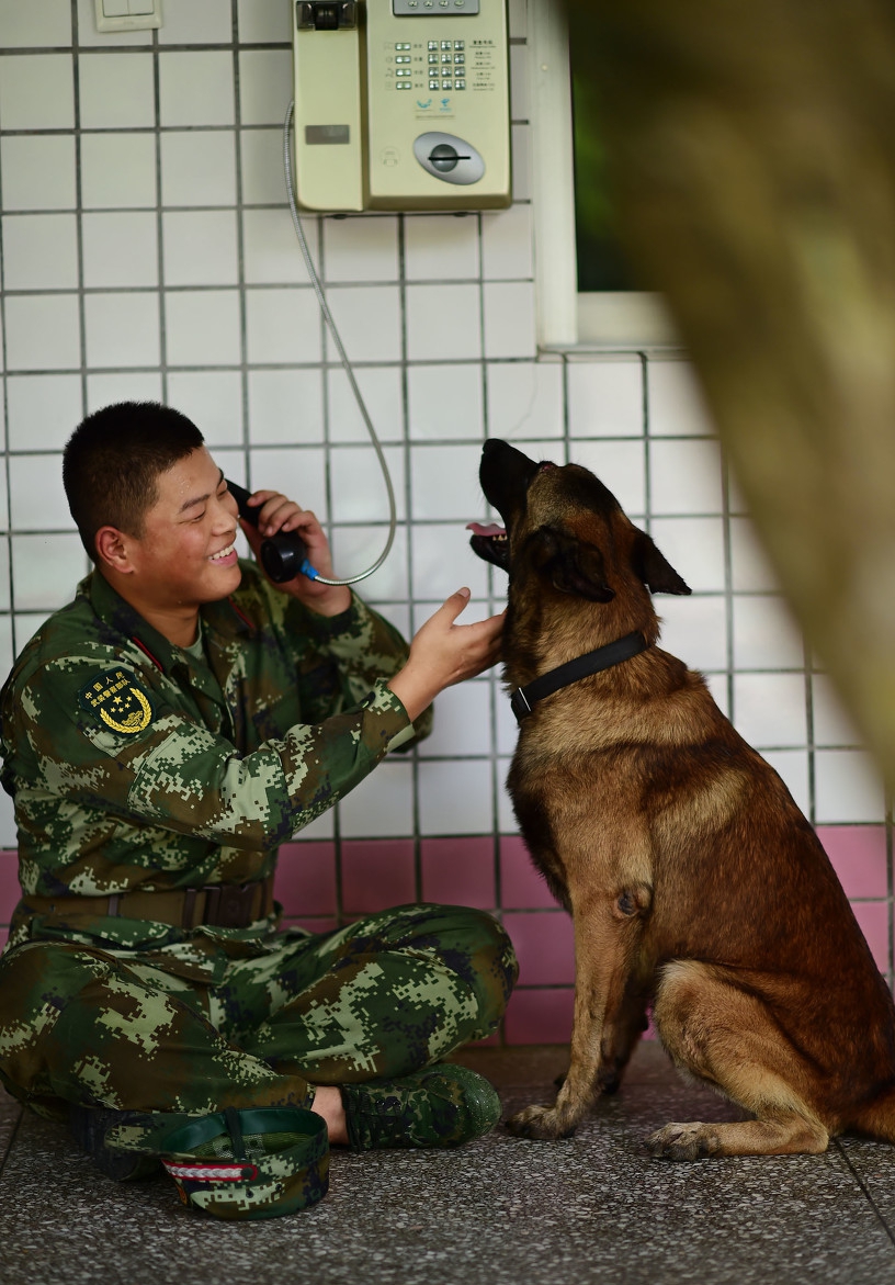 与军犬分别瞬间催泪互敬军礼中心语求求你不要走