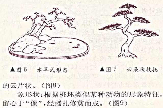 盆景造型绑扎技艺图解图片