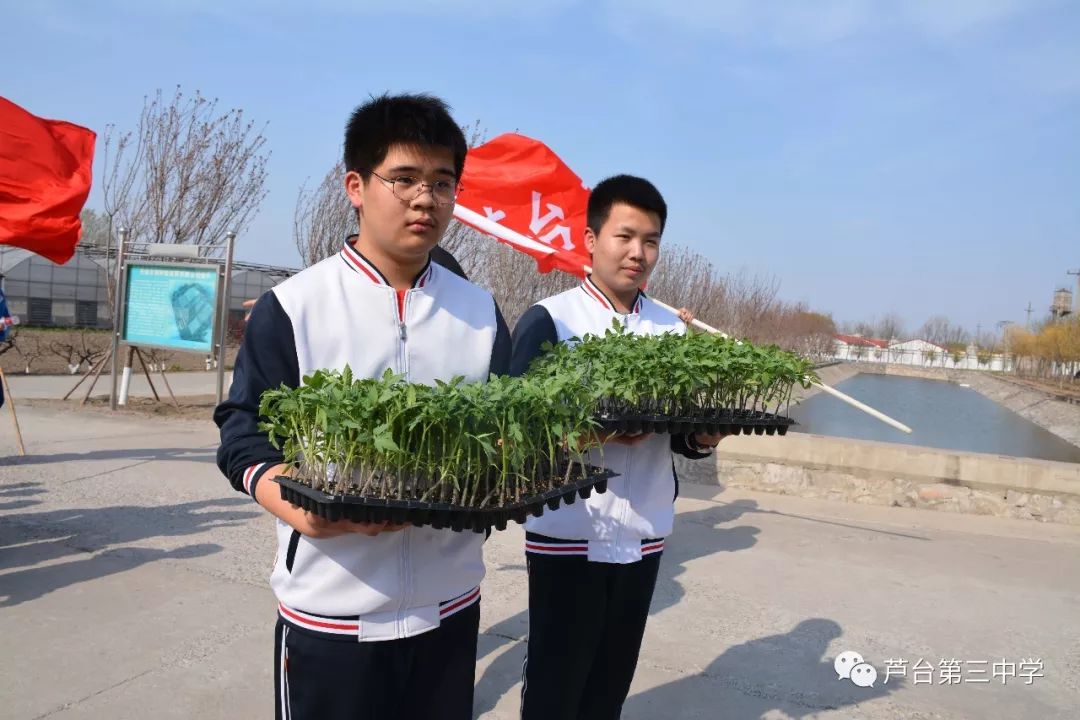 寧河蘆臺三中組織學生到社會實踐基地進行勞動實踐活動