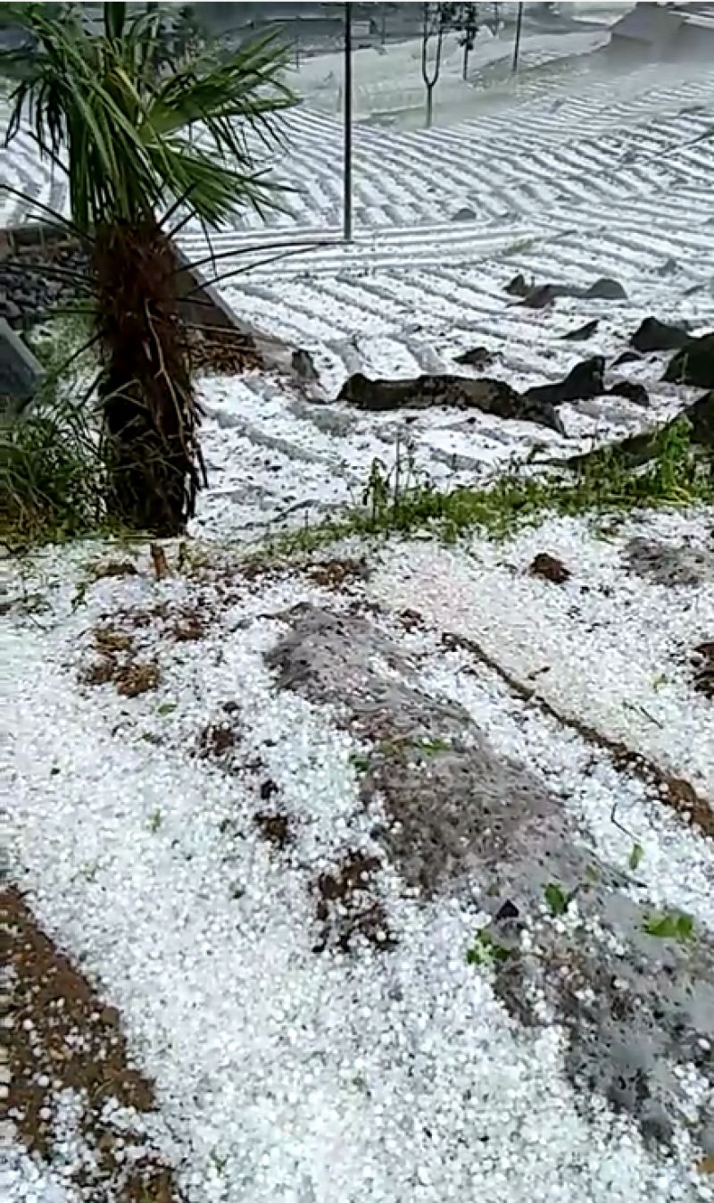 宜賓下冰雹了,白茫茫的一片!未來幾天將是雨雨雨