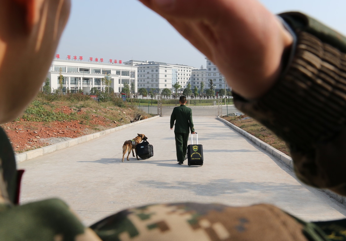 与军犬分别瞬间催泪互敬军礼中心语求求你不要走