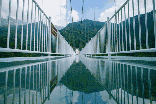 汕头金寿生态园玻璃桥图片
