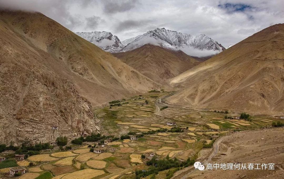 主要分布在青藏高原地区,以青海的黄河谷地,湟水谷地和西藏的雅鲁藏布