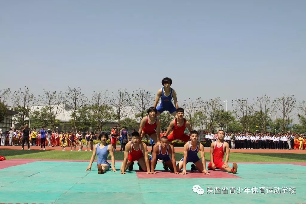 自由式摔跤项目拳击项目竞技体操项目陕西省青少年体育运动学校属于