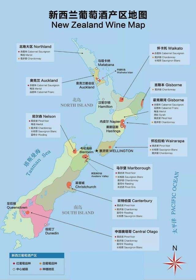 不同寻常的新西兰,踏上葡萄酒之旅