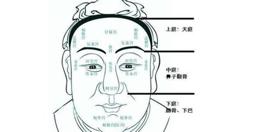 适合从政的面相图片