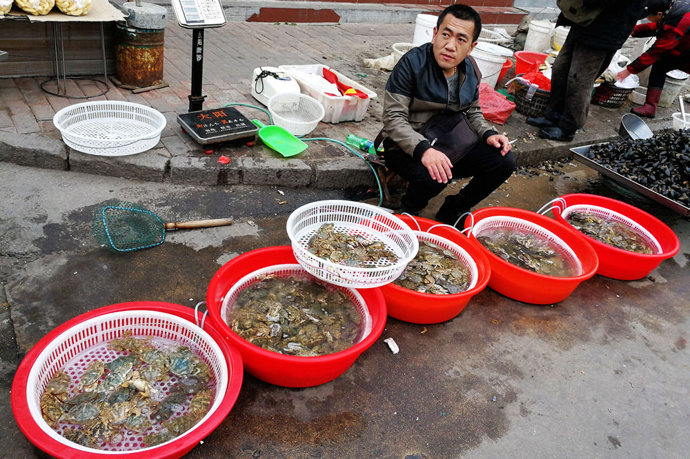 周末菜市场海鲜 鲜鲜鲜 活活活 皮皮虾,大鲅鱼40一斤 梭子蟹55