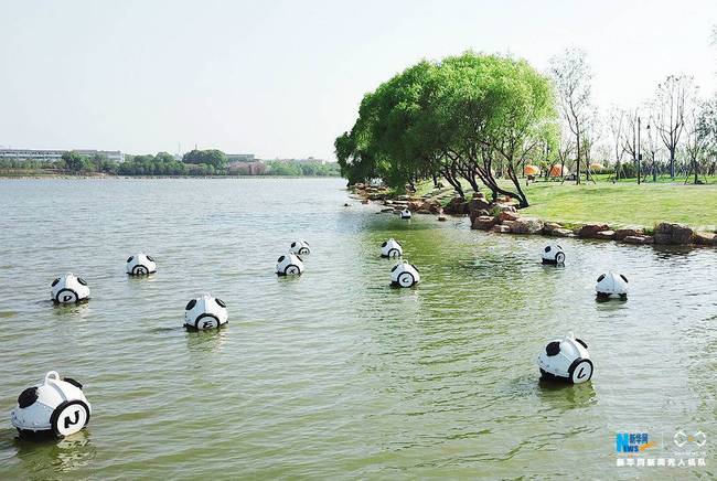 航拍东湖绿道白马驿站城市绿心春意浓