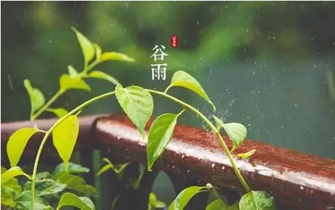 轉穀雨詩詞10首春山谷雨前清和易晚天