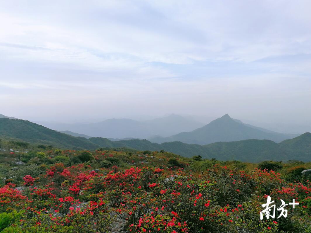 北流隆盛镇天堂山风景图片