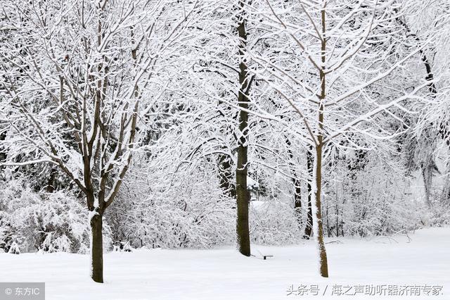 为什么俗话说 冬不坐石 夏不坐木