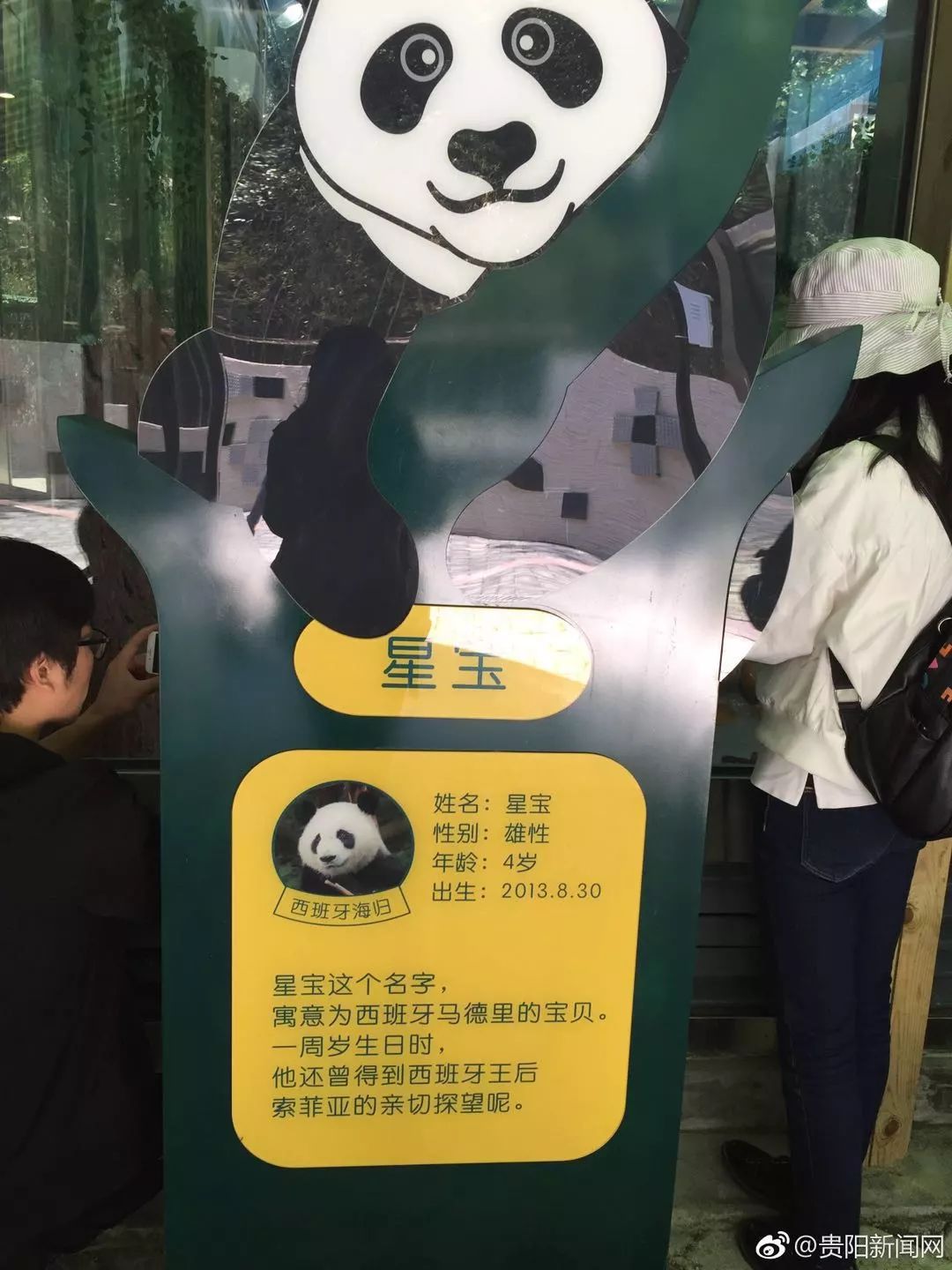 给熊猫设计一张名片图片