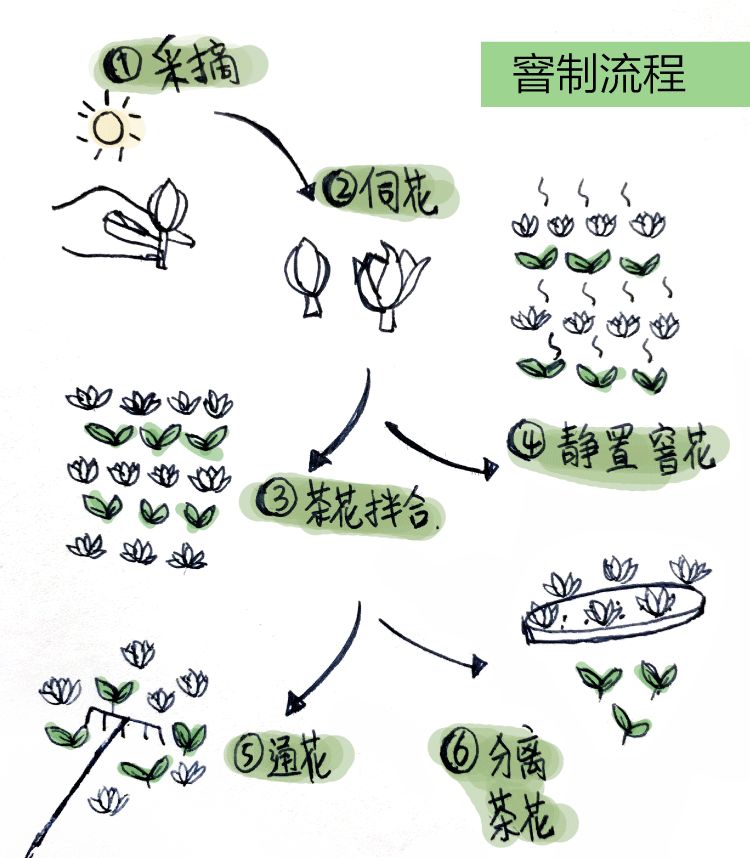 花茶制作工艺流程图图片