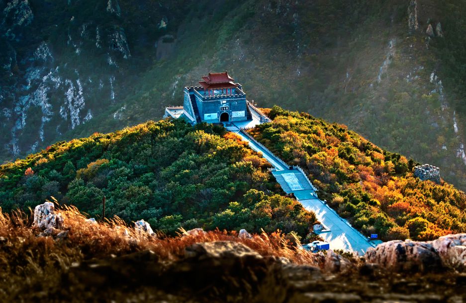 實用大連大黑山賞花攻略