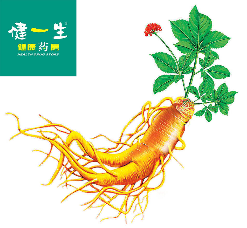 西洋參(學名:panax quinquefolius)是五加科人參屬多年生草木植物