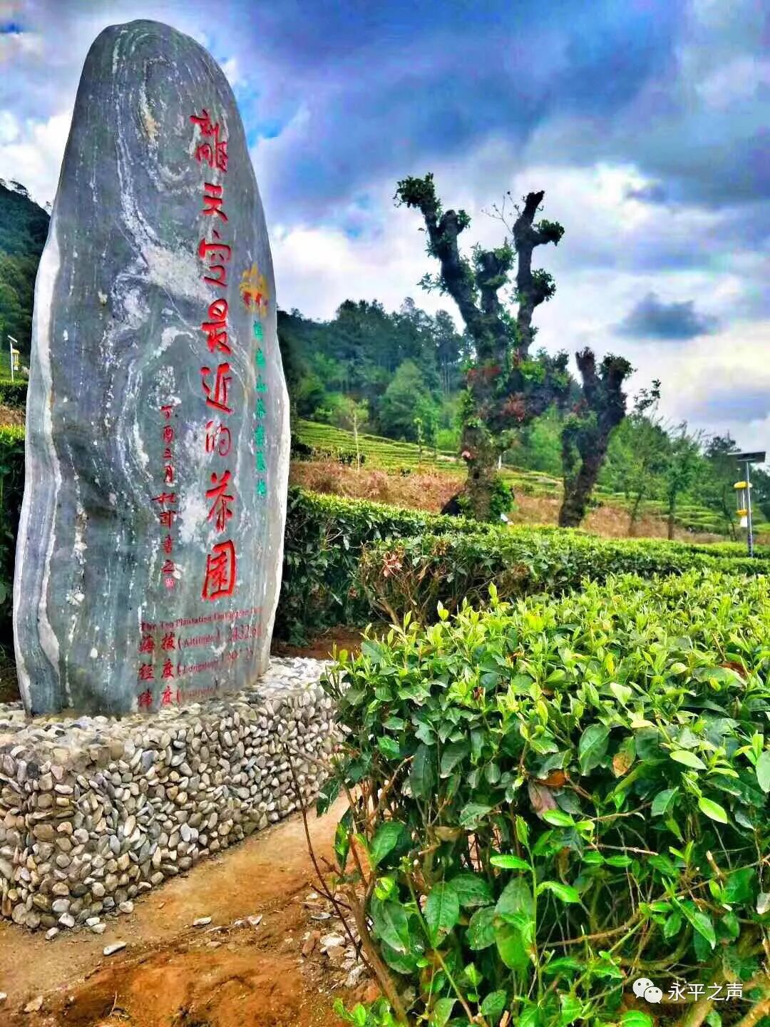 春意盎然的景色,感受山水龙门的独特魅力,品味博南山海拔2400米之上