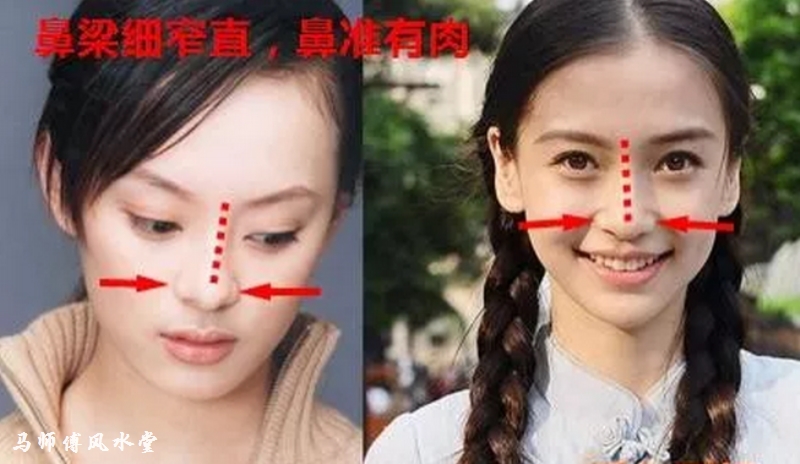 三角形鼻孔的女人面相图片