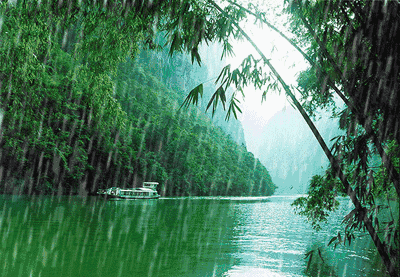 竹林动态壁纸自然图片
