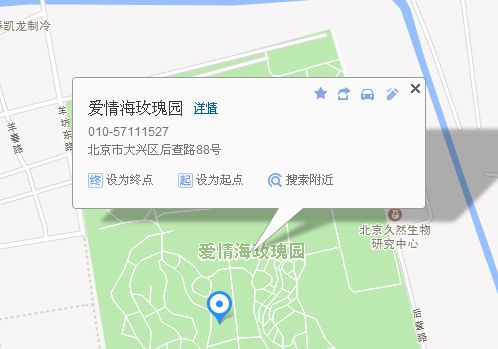 爱情海玫瑰园