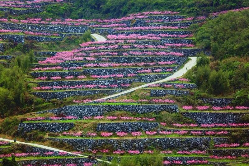 富陽區第一屆富春山居